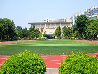 学校草坪绿化工程