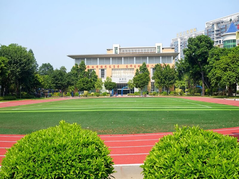 学校草坪绿化工程